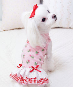 Garden dog dress