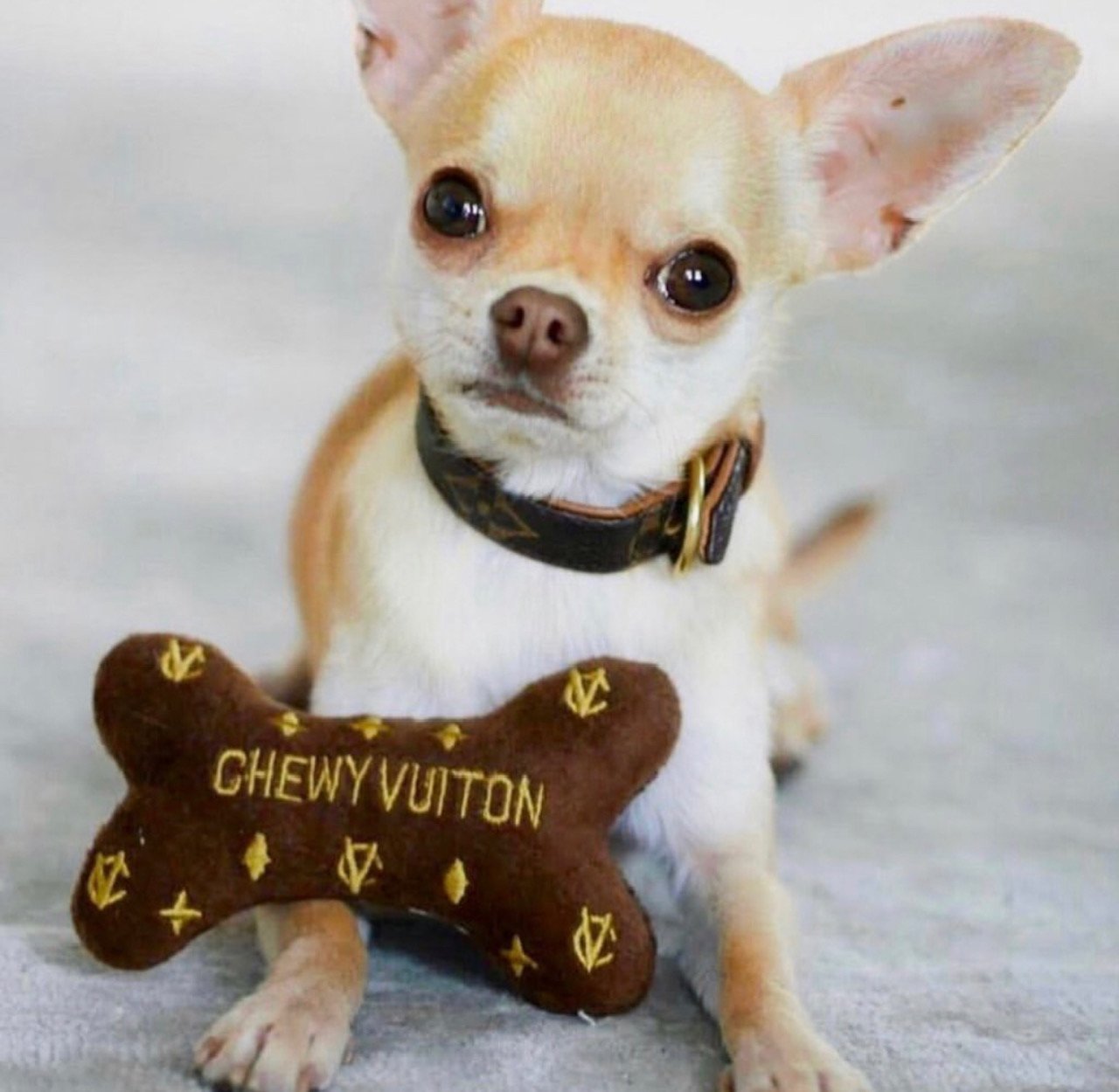 Chewy Vuiton Red Purse Toy - King of Paws