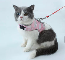 Load image into Gallery viewer, Happy Coala pet harness
