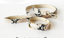 Load image into Gallery viewer, Snake dog collar - Isle For Dogs
