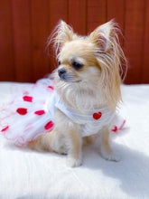 Load image into Gallery viewer, NEW Little Diva dog dress
