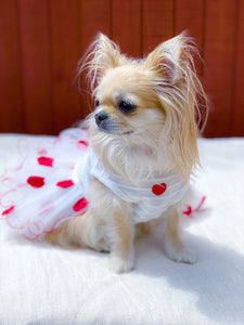 NEW Little Diva dog dress