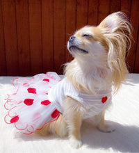 Load image into Gallery viewer, NEW Little Diva dog dress
