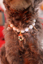 Load image into Gallery viewer, NEW Pearl dog necklace
