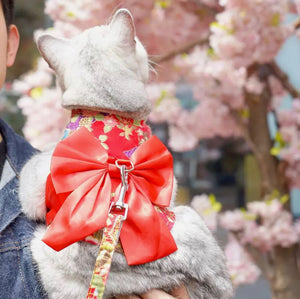 Sakura dog harness