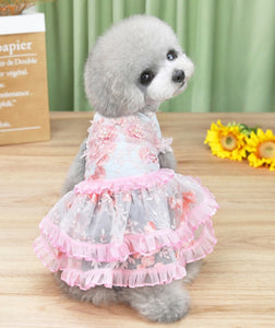 NEW Flower queen dog dress