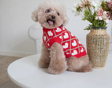 Load image into Gallery viewer, NEW Heart dog jumper
