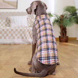 Berry Sausage dog jacket