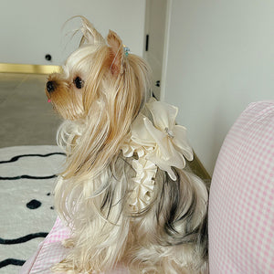 NEW Pawfect Frill dog harness