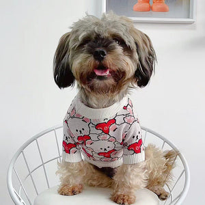 NEW Teddy Love pet jumper