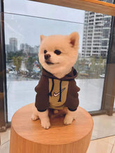 Load image into Gallery viewer, NEW Sports dog hoodie
