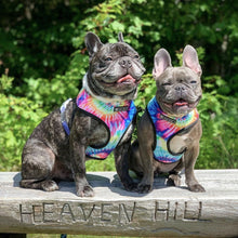 Load image into Gallery viewer, Happiness dog harness set
