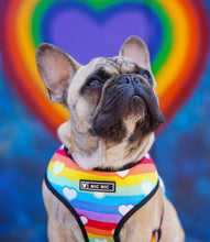 Load image into Gallery viewer, Hearts dog harness set
