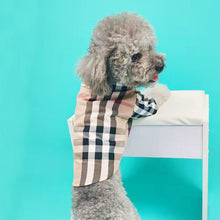 Load image into Gallery viewer, NEW Berry dog shirt
