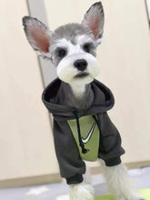 Load image into Gallery viewer, NEW Sports dog hoodie
