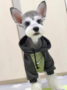 NEW Sports dog hoodie