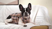 Load image into Gallery viewer, Berry Sausage dog jacket
