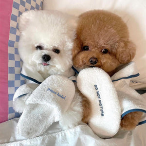 NEW Paws Hotel Face Mask/ Slipper Toy