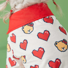 Load image into Gallery viewer, NEW Teddy with Love dog Polo
