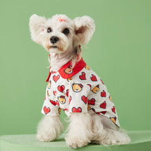 Load image into Gallery viewer, NEW Teddy with Love dog Polo
