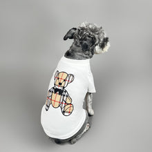 Load image into Gallery viewer, NEW Berry Teddy dog top

