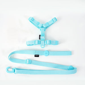 NEW Cute dog harness set