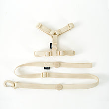 Load image into Gallery viewer, NEW Cute dog harness set

