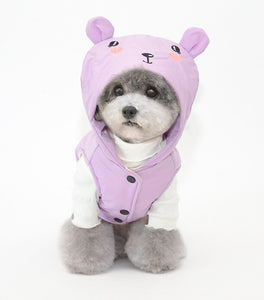 Teddy dog jacket