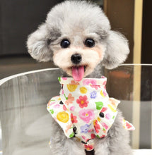 Load image into Gallery viewer, NEW Minnie dog dress
