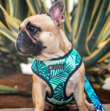 Load image into Gallery viewer, NEW Tropical dog harness set
