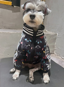 Adidog dog jacket