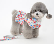 Load image into Gallery viewer, NEW Fleure dog harness set
