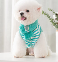 Load image into Gallery viewer, Dino dog jumper with scarf
