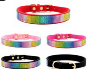 NEW Rainbow dog collar