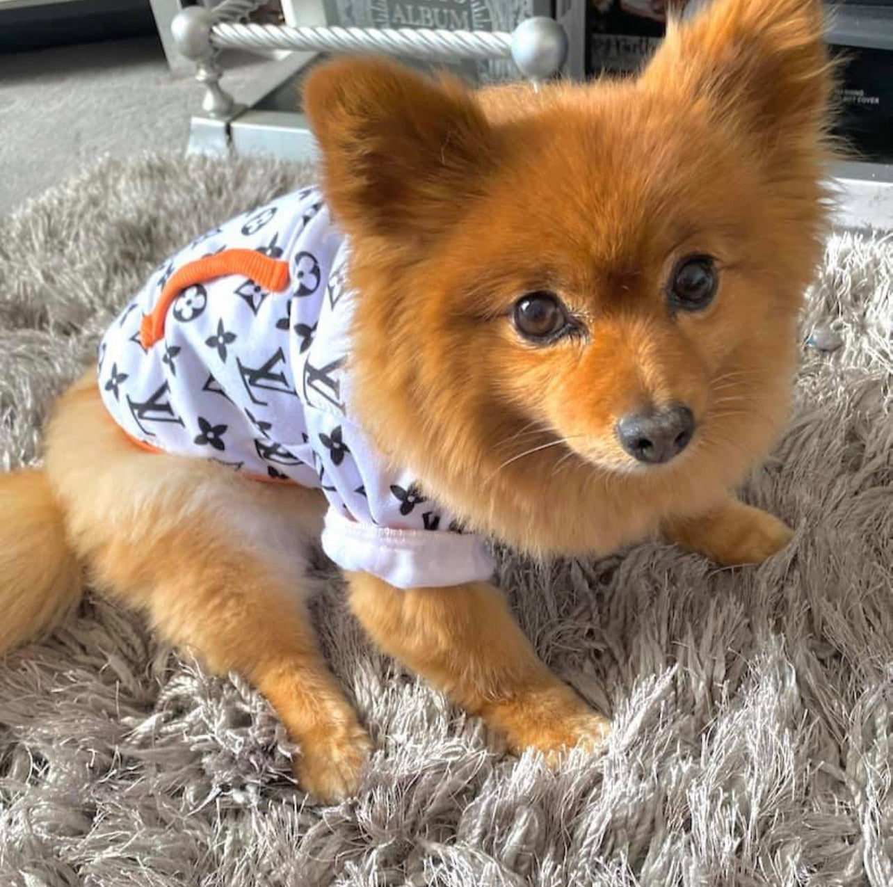 L V dog Jumper Isle For Dogs Boutique LTD