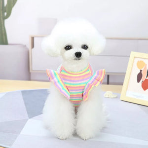 Vibes dog dress or top
