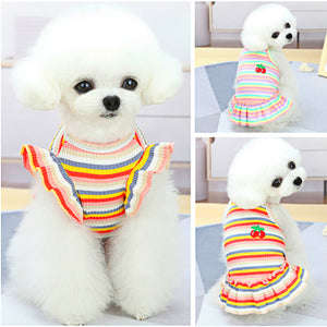 Vibes dog dress or top