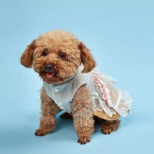 Load image into Gallery viewer, Rosendale dog dress
