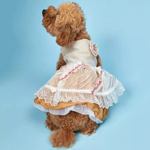 Load image into Gallery viewer, Rosendale dog dress
