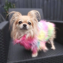 Load image into Gallery viewer, NEW PopStar dog jumper
