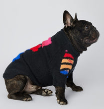 Load image into Gallery viewer, Woof Bone dog jumper
