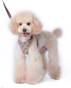 NEW Designer inspired dog harness