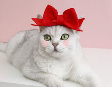 Load image into Gallery viewer, NEW Pet Headband
