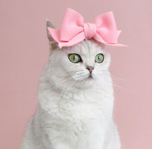 Load image into Gallery viewer, NEW Pet Headband
