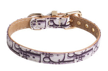 Load image into Gallery viewer, NEW Dogior dog collar
