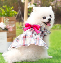 Load image into Gallery viewer, Miss Bow dog dress
