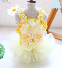 Load image into Gallery viewer, Sunny Bunny dog dress
