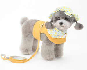 Fruit dog harness set