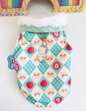 Load image into Gallery viewer, NEW Teddy n Bunny dog jacket
