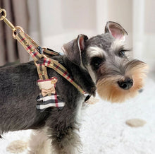 Load image into Gallery viewer, Teddy harness set
